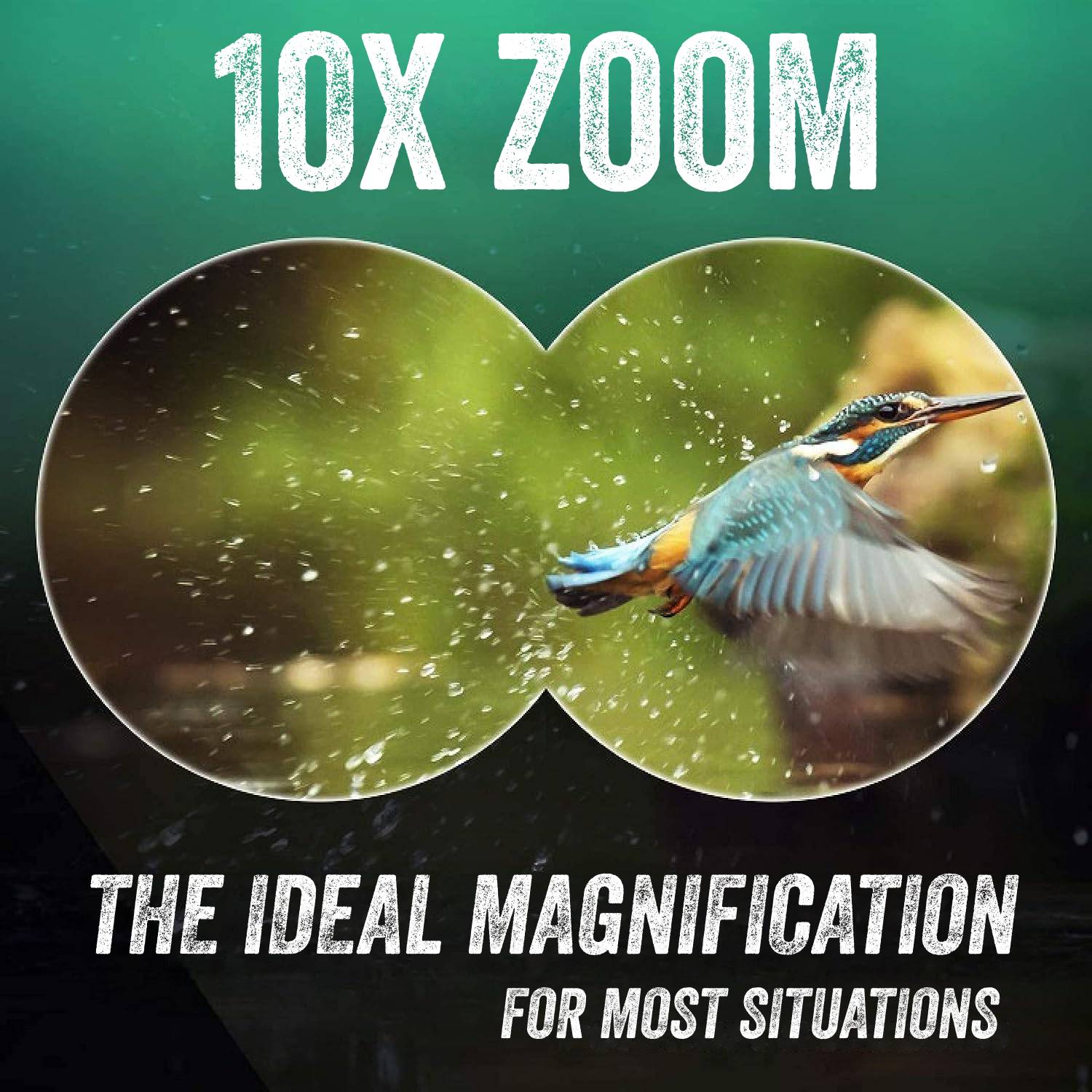 10x42 Binoculars for Hunting & Bird Watching