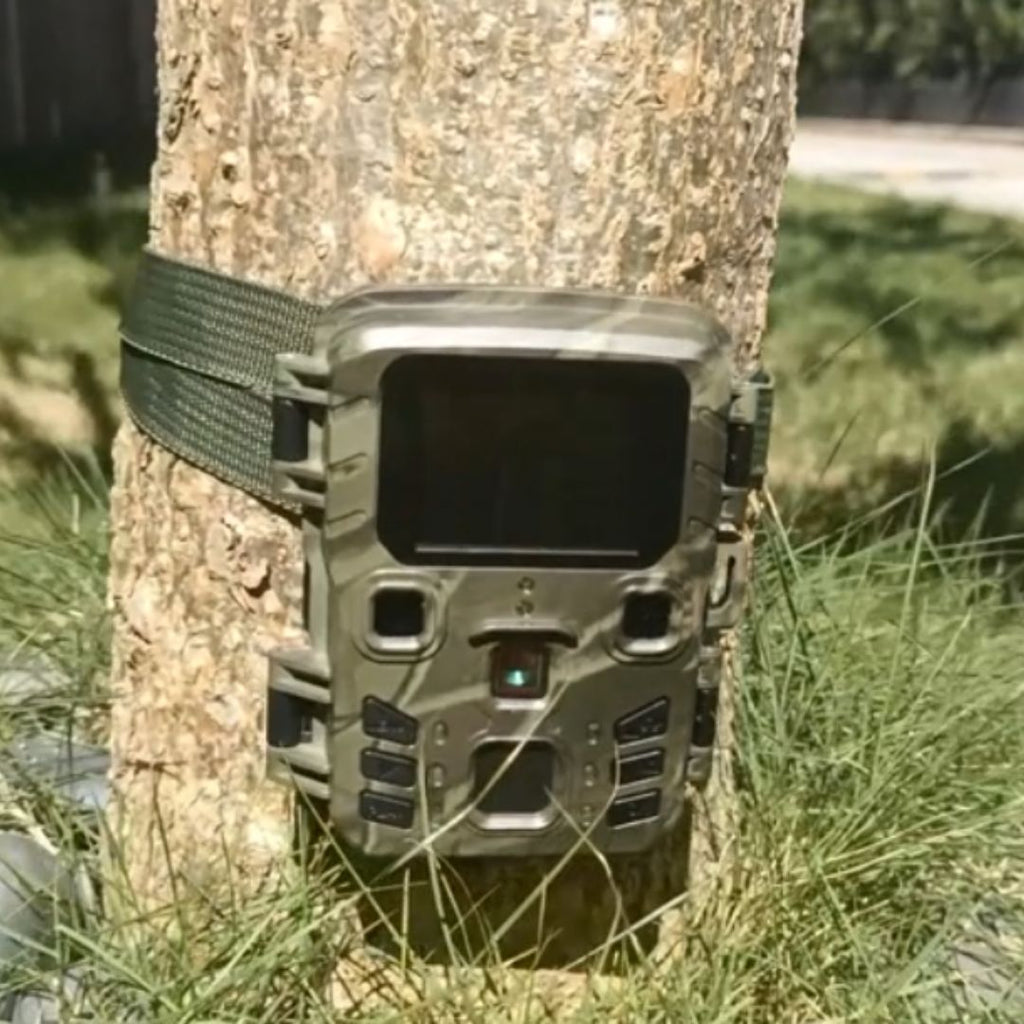 wireless cellular trail camera