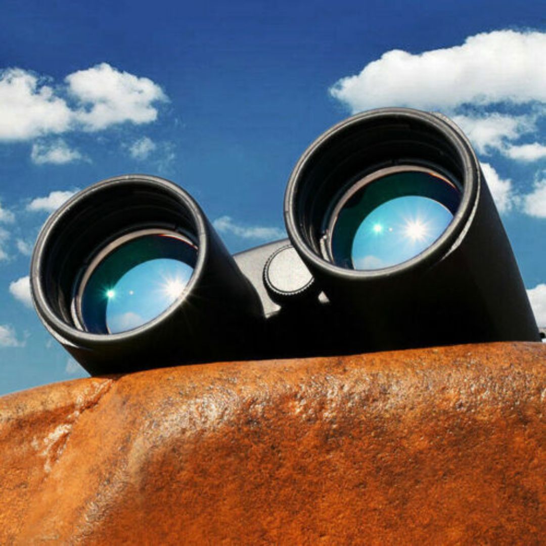 10x42 Binoculars for Hunting & Bird Watching